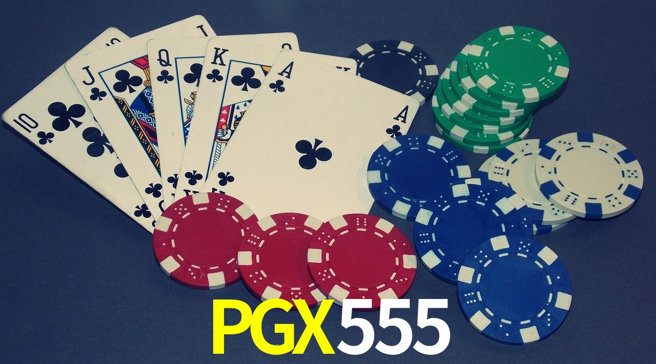 Game Statistics PGX555