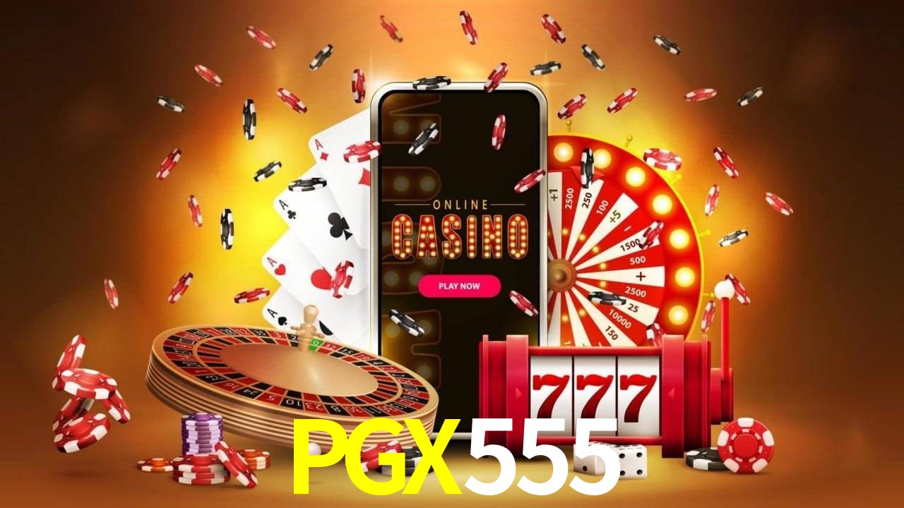 Experiência VIP PGX555